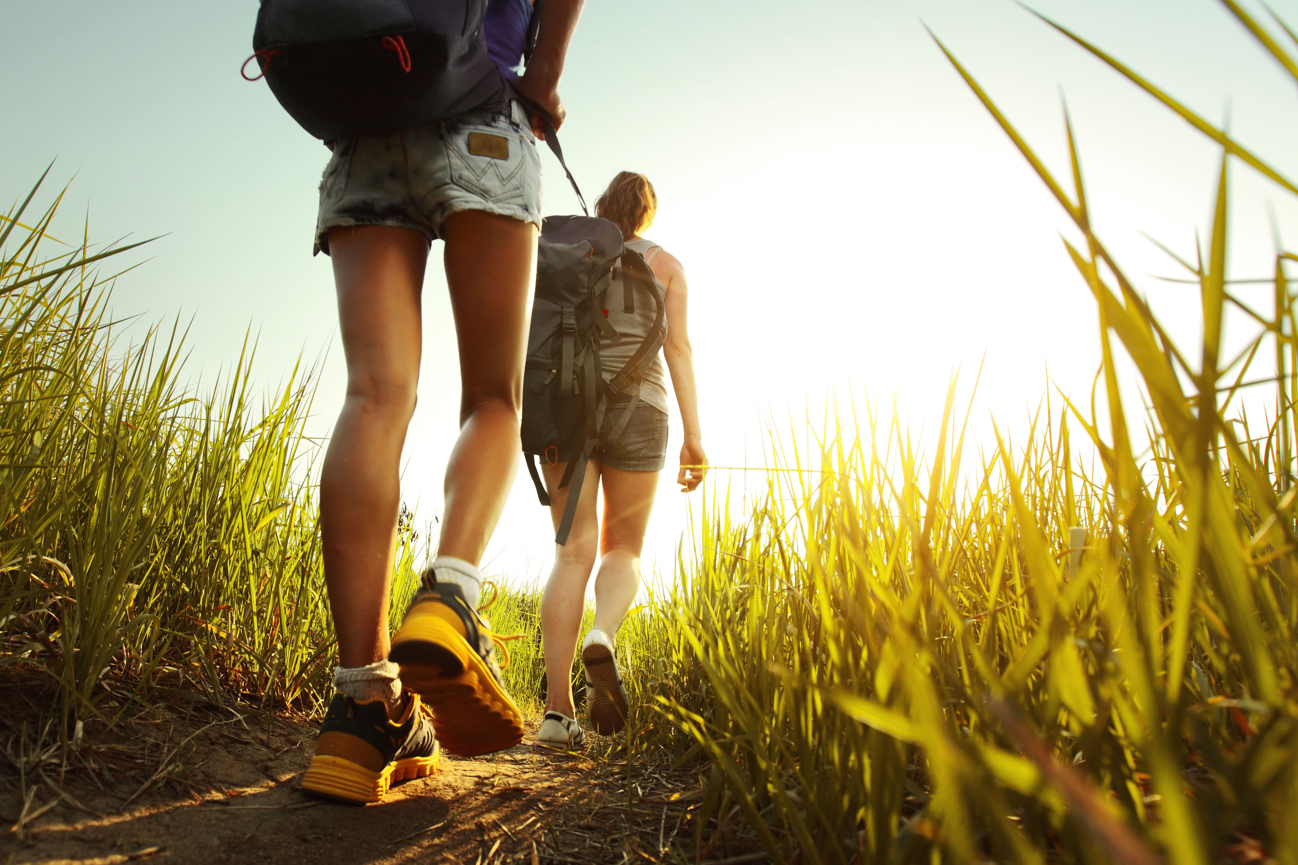 Wandern Kottulinsky Ferienwohnungen Wandern Sie mit uns im Bayerischenwald. Der beste Startpunkt Kottulinsky Ferienwohnungen