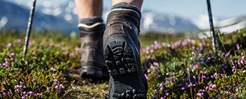 Kottulinky Ferienwohnungen ist der beste Startpunkt zum wandern Familie Kottulinsky Ferienwohnungen in Bodenmais. Wandern und mehr ...