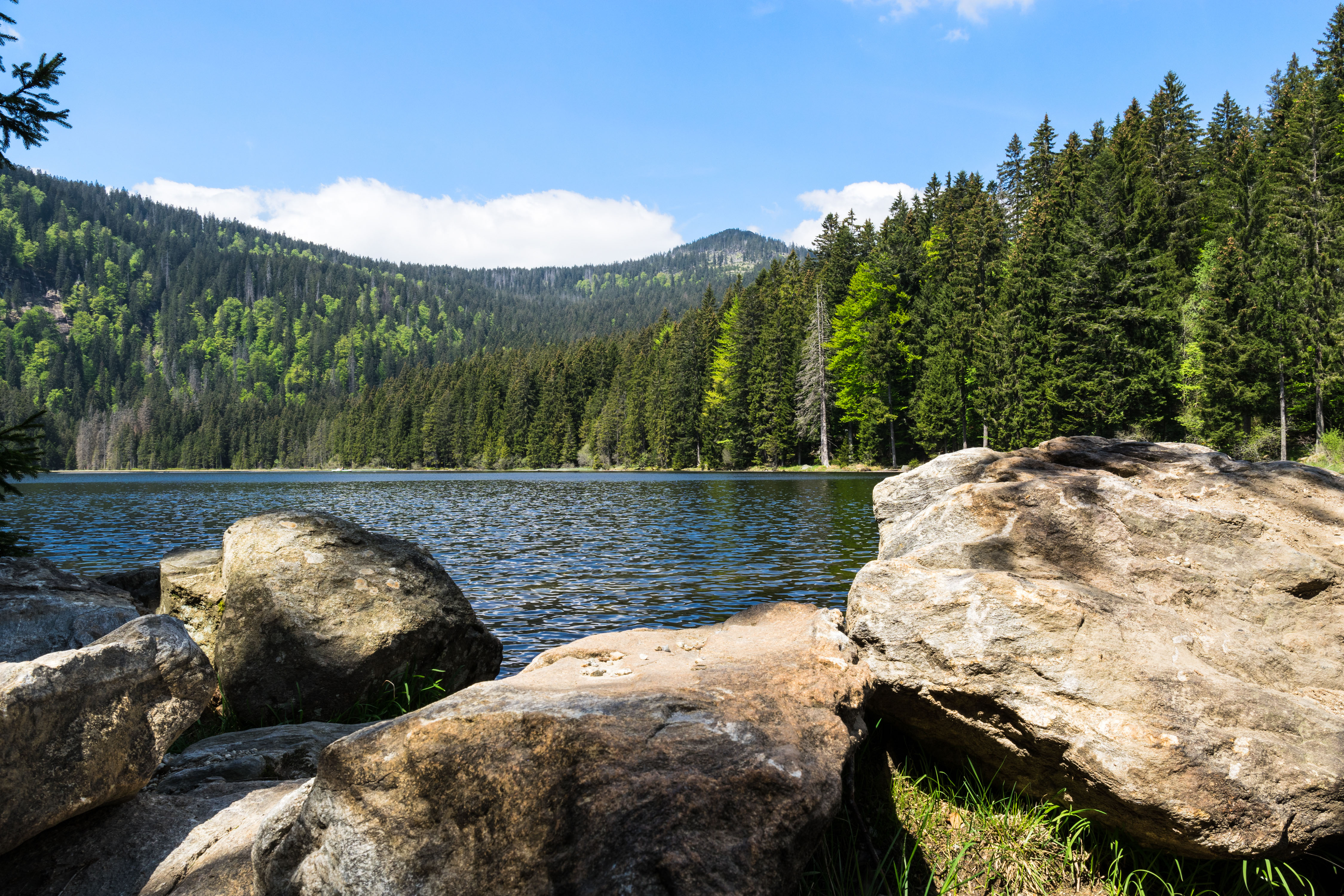 Bodenmais am Arber im Bayerischenwald Kottulinsky Ferienwohungen Am Waldrand, ruhig sind unsere Ferienwohnungen in Bodemais